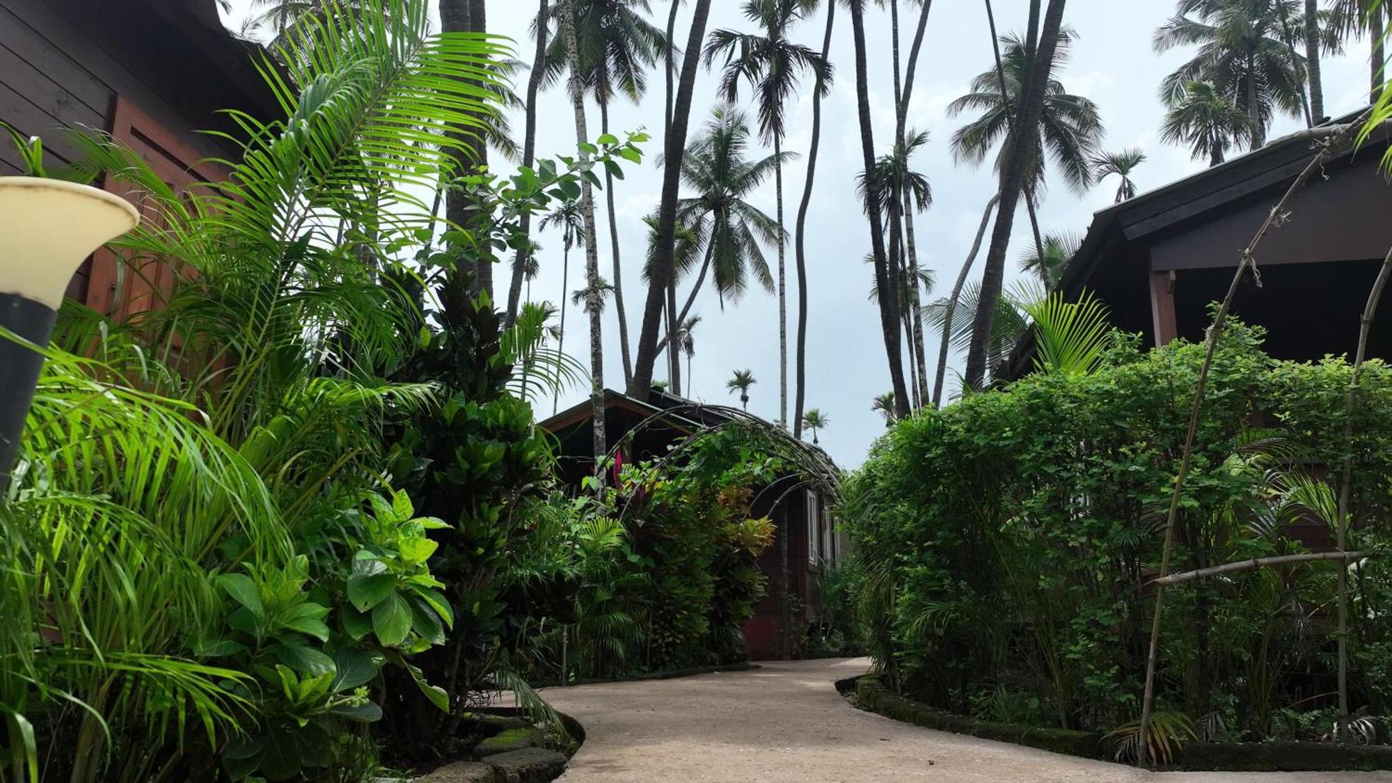 Tranquil Beach Resort Harihareshwar Экстерьер фото
